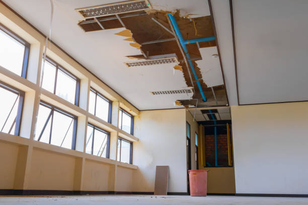 Best Local water damage restoration  in Wood Ridge, NJ