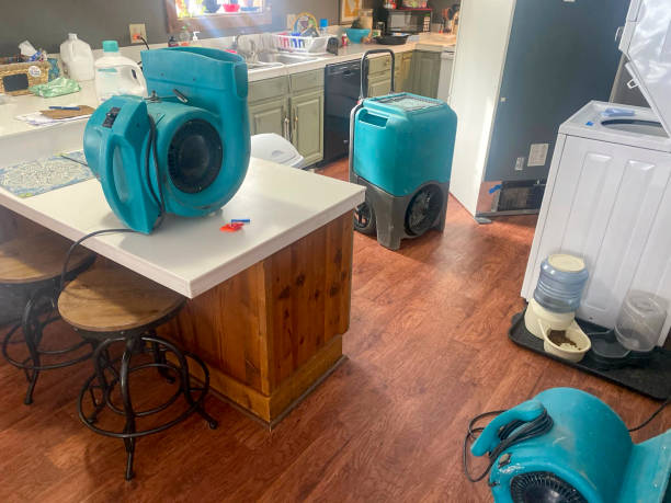 Best Mold removal after water damage  in Wood Ridge, NJ
