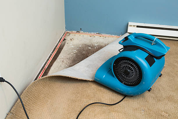 Best Professional water damage repair  in Wood Ridge, NJ